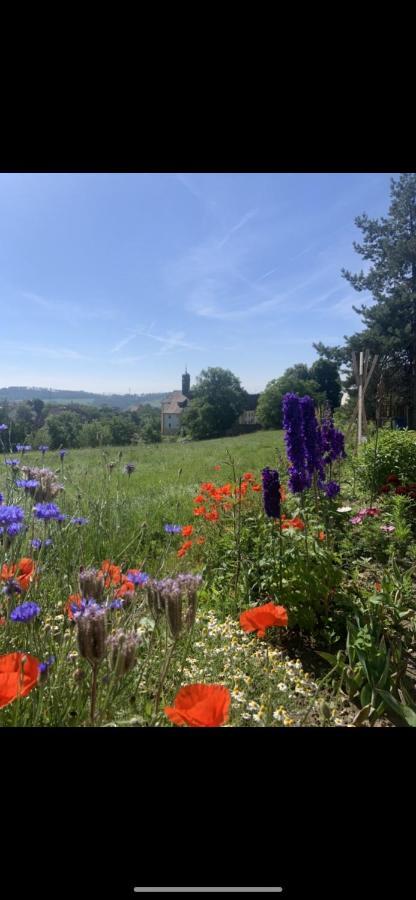 Ferienwohnung Klosterblick Ühlingen-Birkendorf Exterior foto